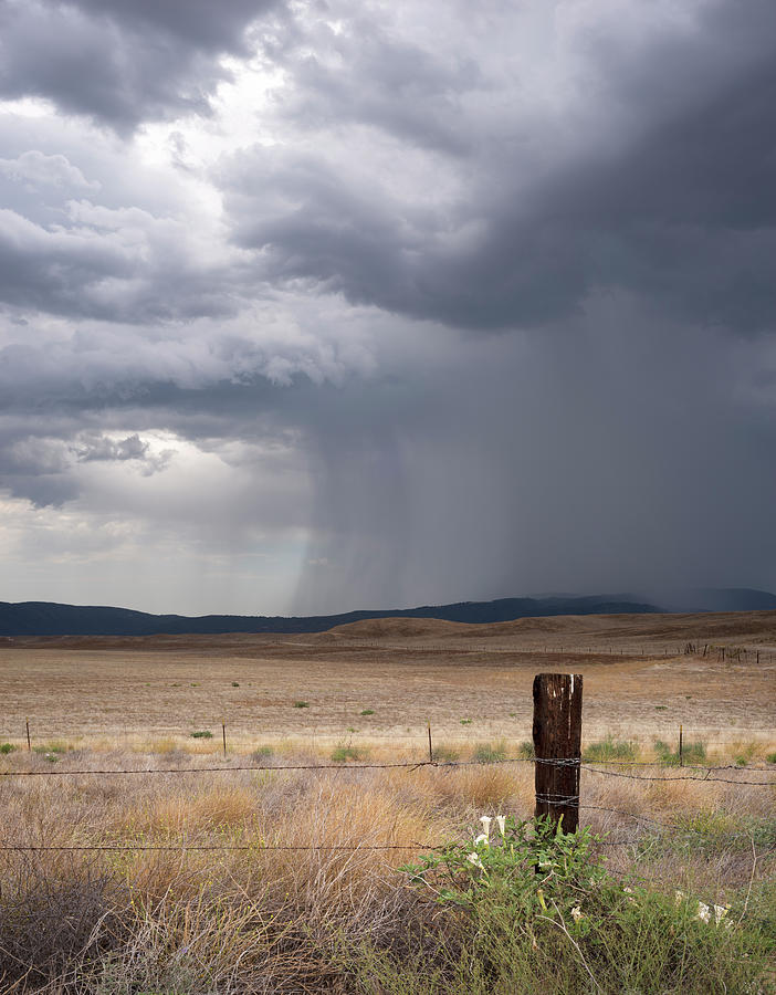 San Diego Photograph - Warner Springs Post and Rain by William Dunigan
