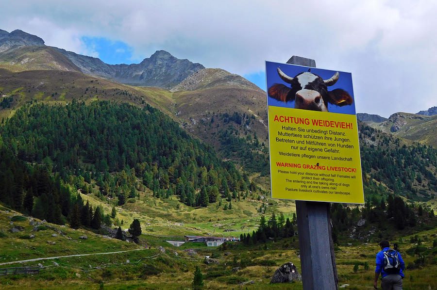 Warning sign in the austrian alps Photograph by Kacege Photography