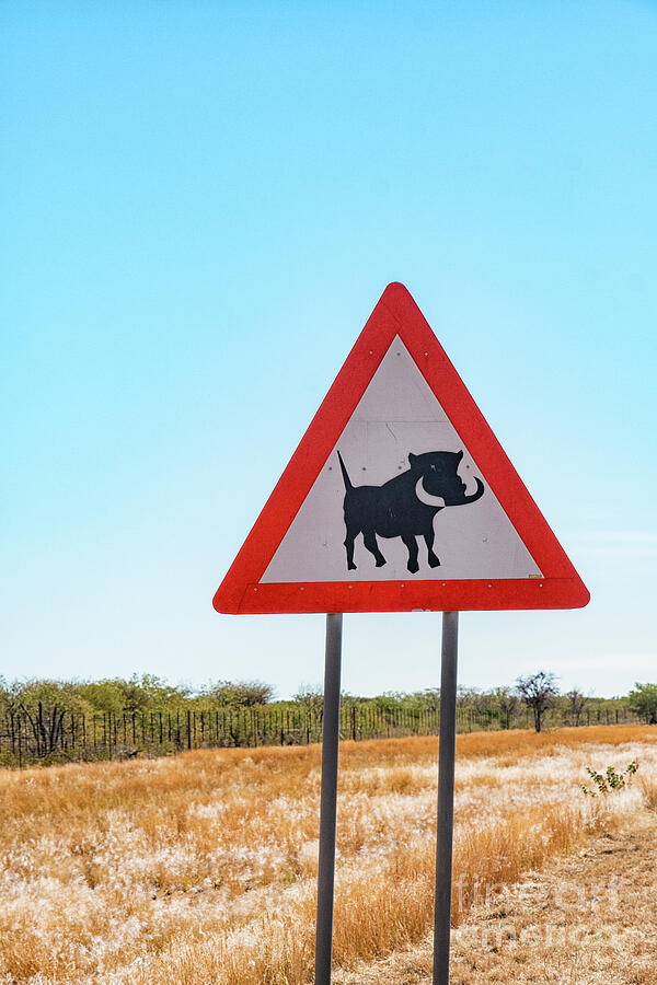 Warthog warning road sign in Namibia Photograph by Patricia Hofmeester ...