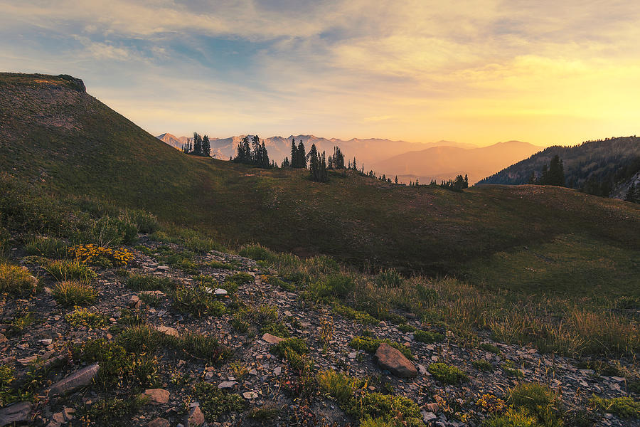 Wasatch Mountains from Timp Basin Utah Photograph by Jeffery Hudson