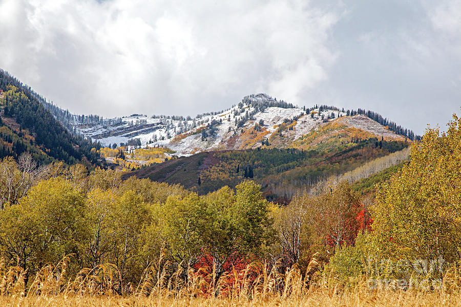 Wasatch Mountains Canvas Prints Photograph by David Millenheft