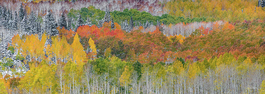 Wasatch Range Utah Autumn Photograph by Leland D Howard
