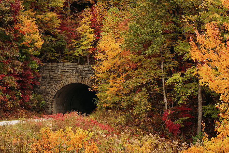 Wash Creek Valley Tunnel on Blue Ridge Parkway 2 Photograph by Joni Eskridge
