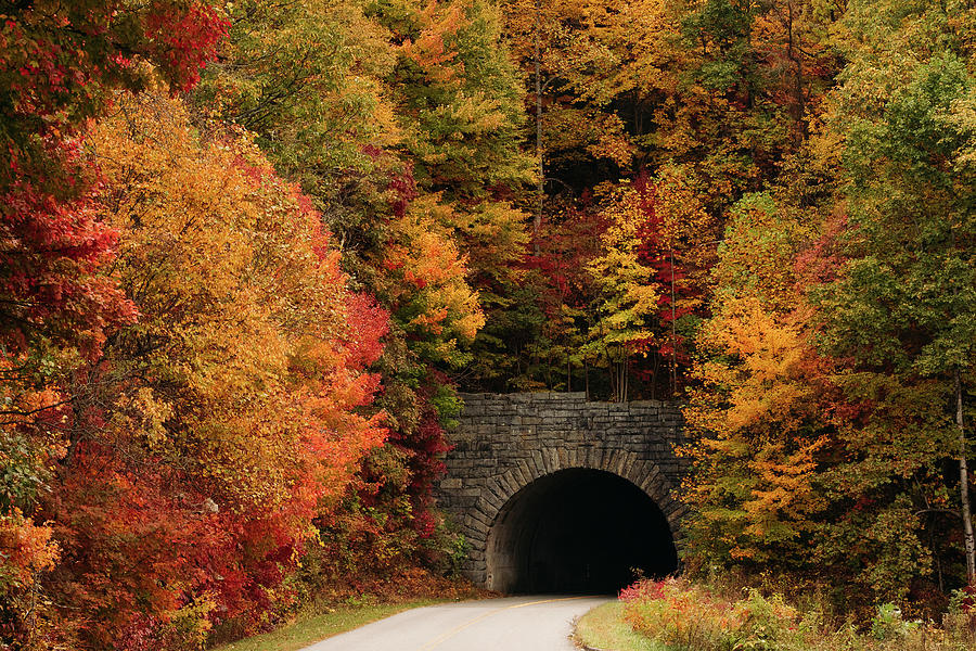 Wash Creek Valley Tunnel on Blue Ridge Parkway Photograph by Joni Eskridge