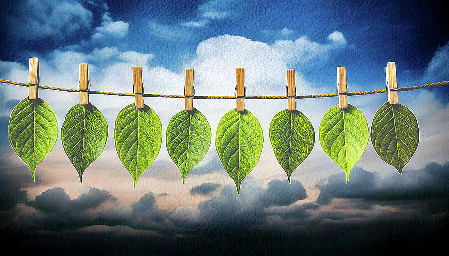 Wash Day Natures Laundry Leaves on a Line by Bob Orsillo Painting by Bob Orsillo Wash Day Natures Laundry Leaves on a Line by Bob Orsillo Painting by Bob Orsillo