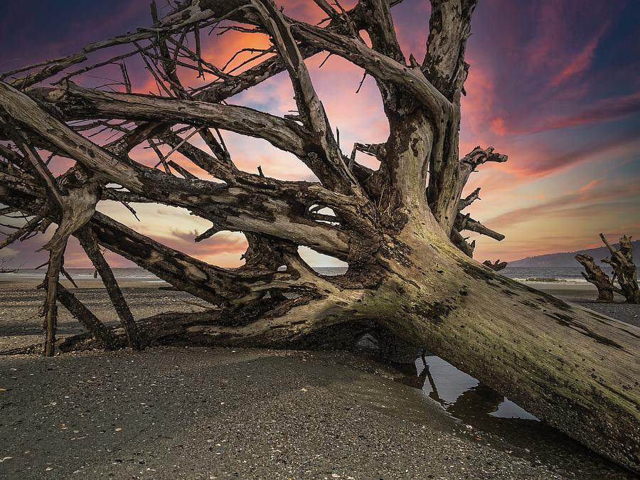 Beaches Photograph - Washed Away by Steven Norris Beaches Photograph - Washed Away by Steven Norris