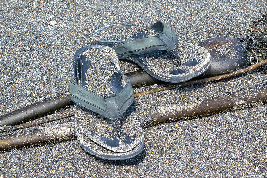 Washed Up Abeo Sandals Photograph by Frank Wilson