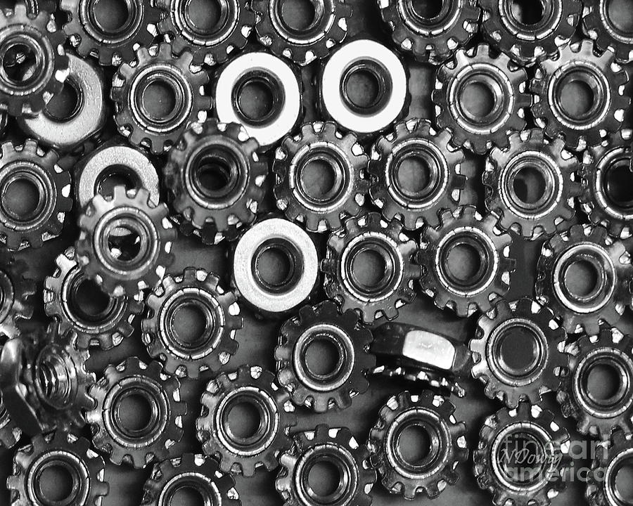 Washers Photograph by Natalie Dowty