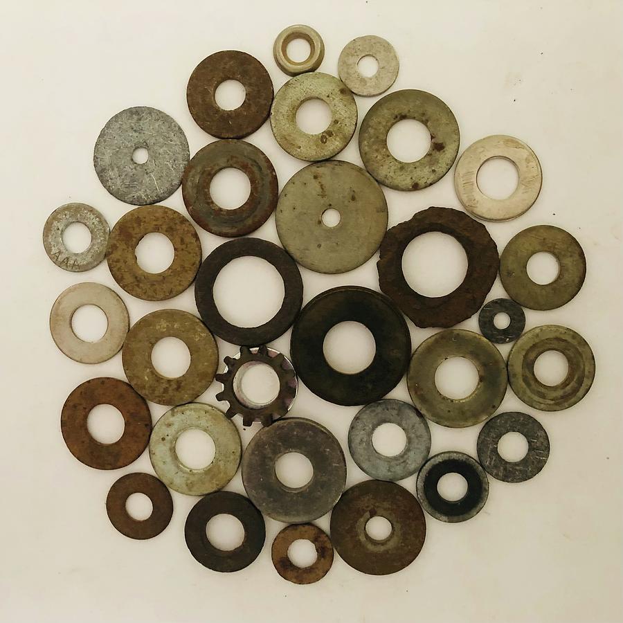 Washers on White Photograph by Douglas Fromm