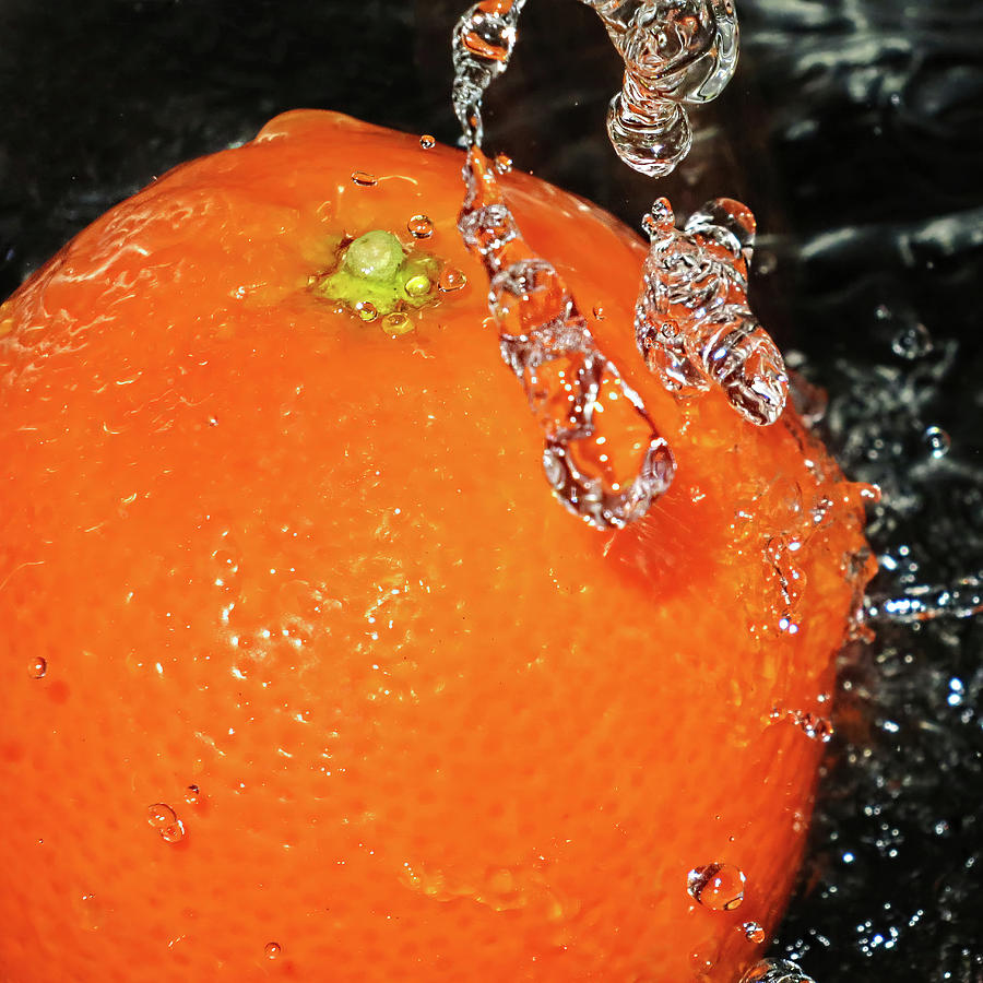 Washing my orange Photograph by Tatiana Travelways