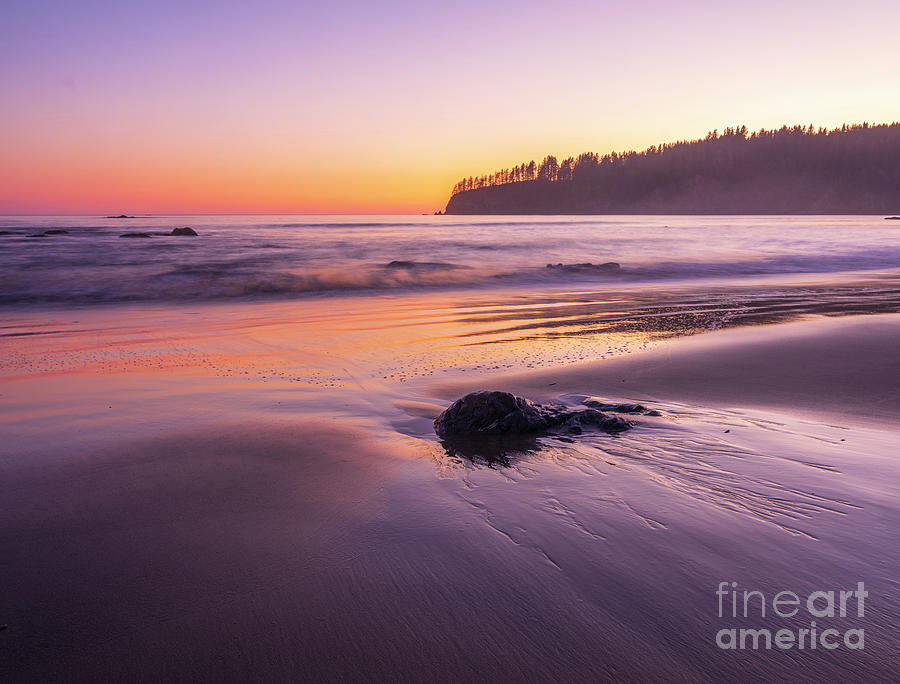 Washington Coast Sunset Light On Sand Photograph