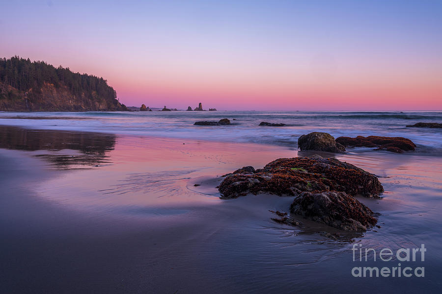 Washington Coast Sunset Tidepools Photograph