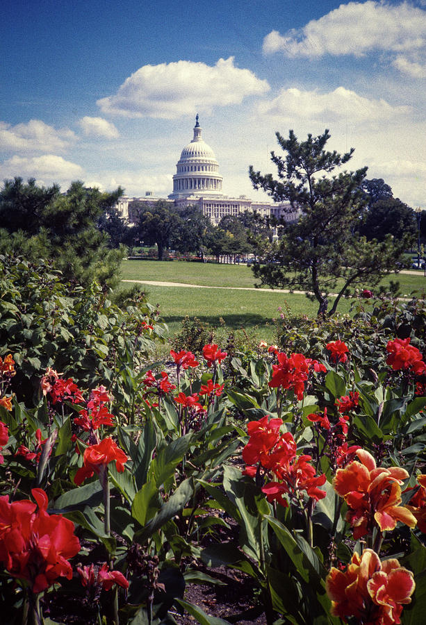Washington DC Capitol  Photograph by Gordon James