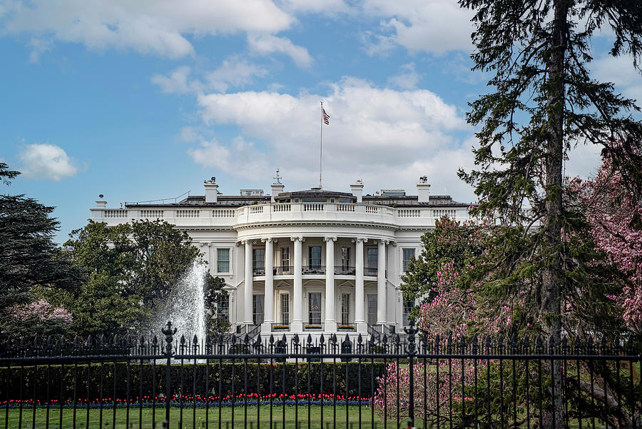 Washington Dc-the White House Photograph