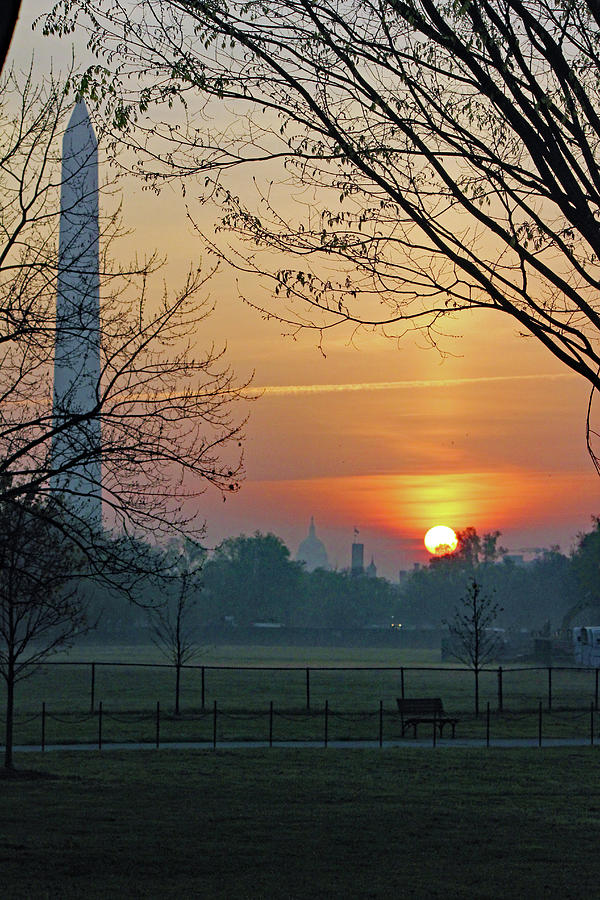 Washington Memorial Photograph by Carolyn Stagger Cokley