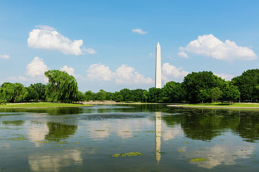Washington Monument Reflected on a Spring Day Photograph by Liz Albro