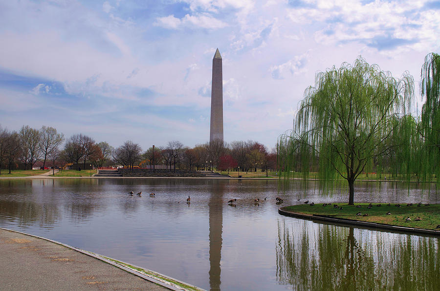 Washington Monument Reflection Photograph by Matthew DeGrushe
