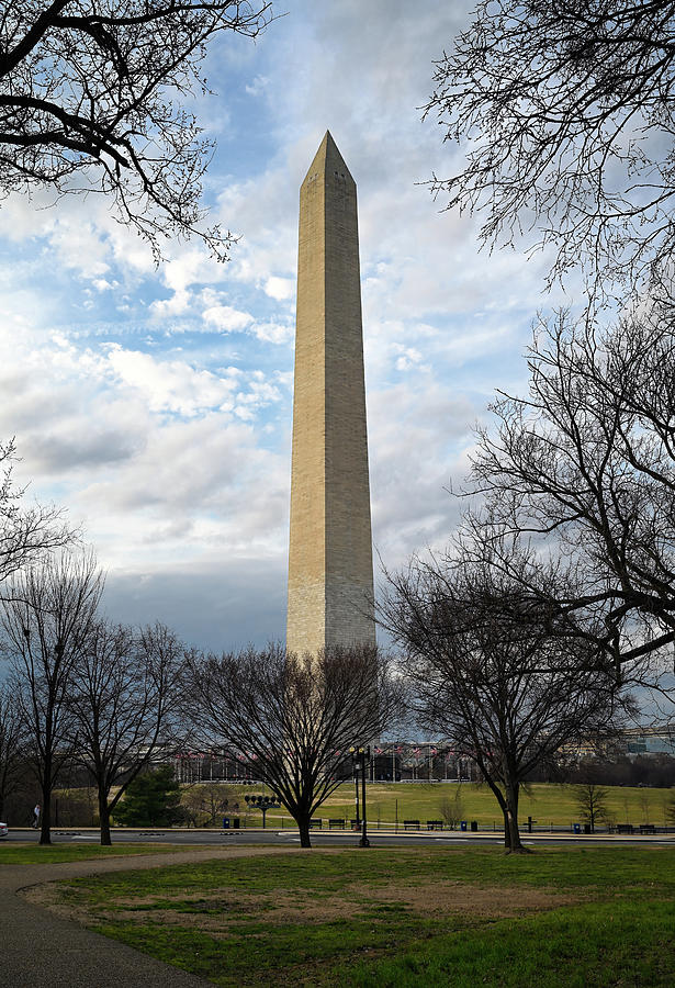 Washington Monument Photograph by Steven Nelson