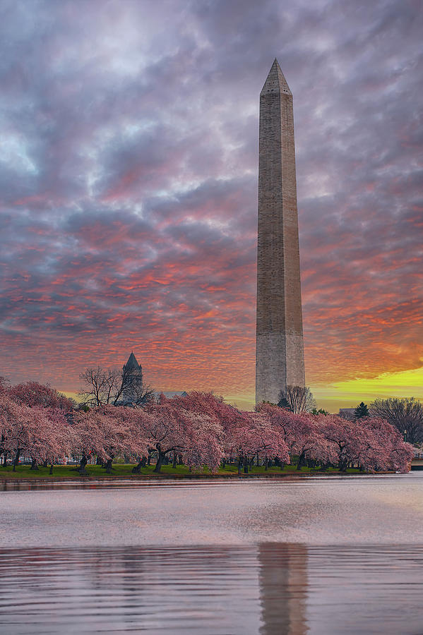 Washington Monument Sunset Photograph by Sebastian Musial