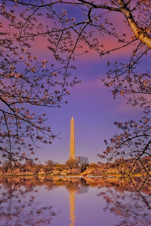 Washington Monument Photograph - Washington Monument Tidal Basin by Susan Candelario