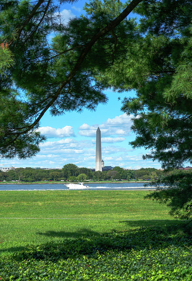 Washington Monument with Tree Frame Photograph by Amy Sorvillo