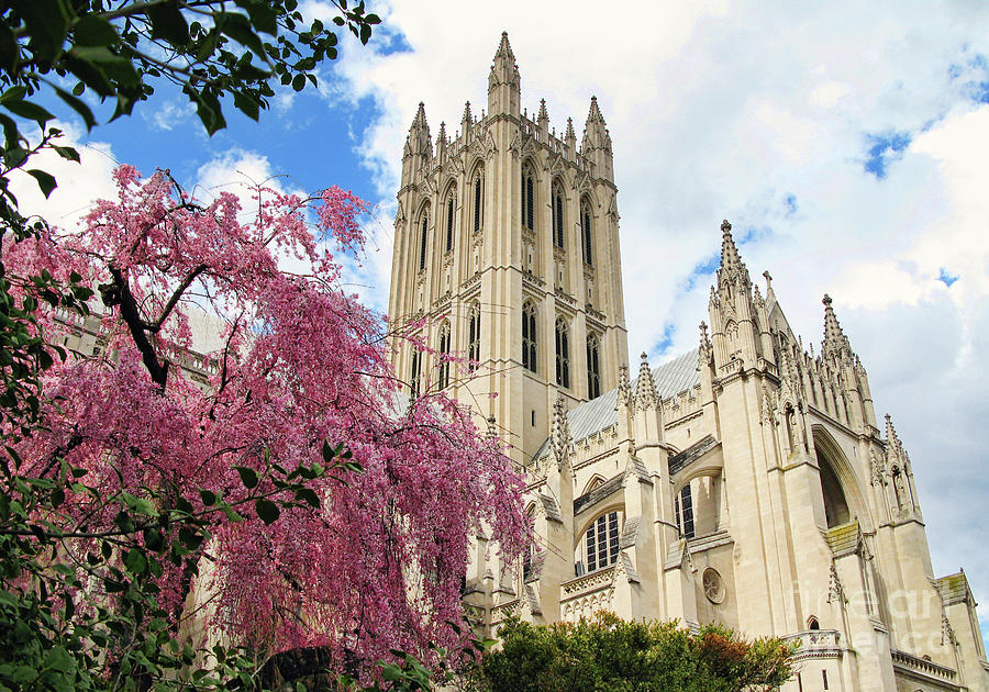 Washington National Cathedral  2634 Photograph by Jack Schultz