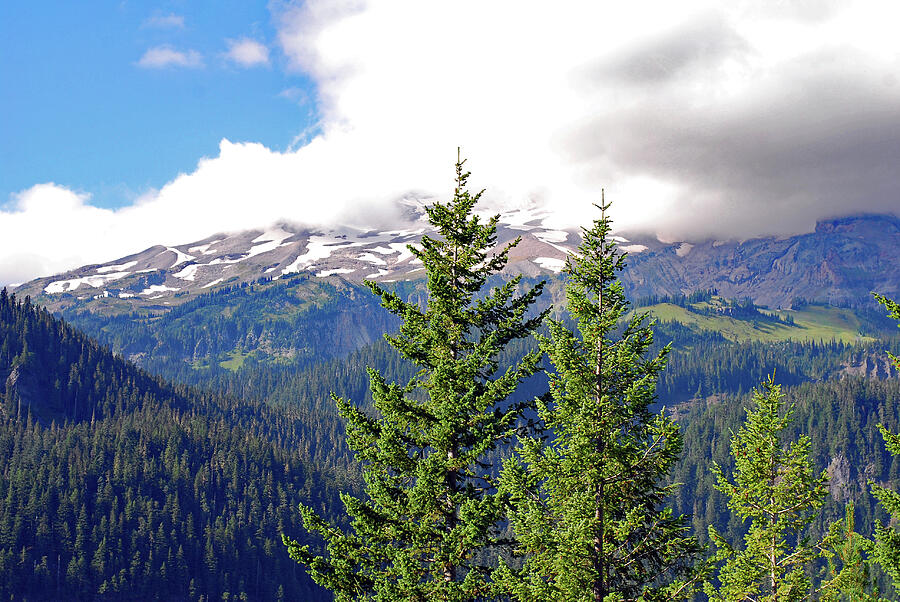 Washington Paradise. Mt. Rainier National Park Photograph by Connie Fox