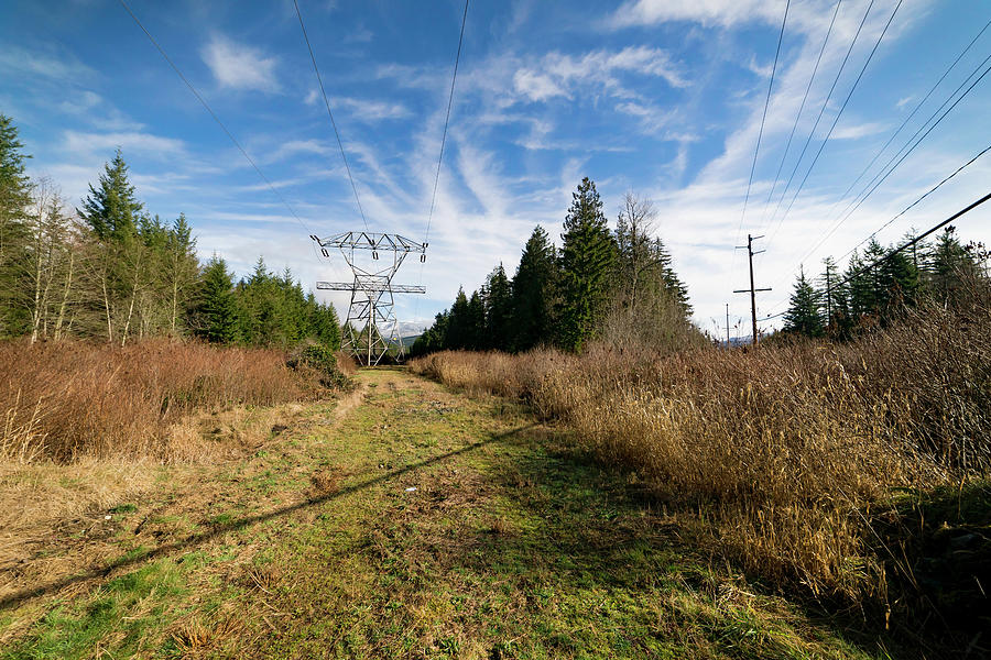 Washington State Powerlines  Photograph by Cathy Anderson