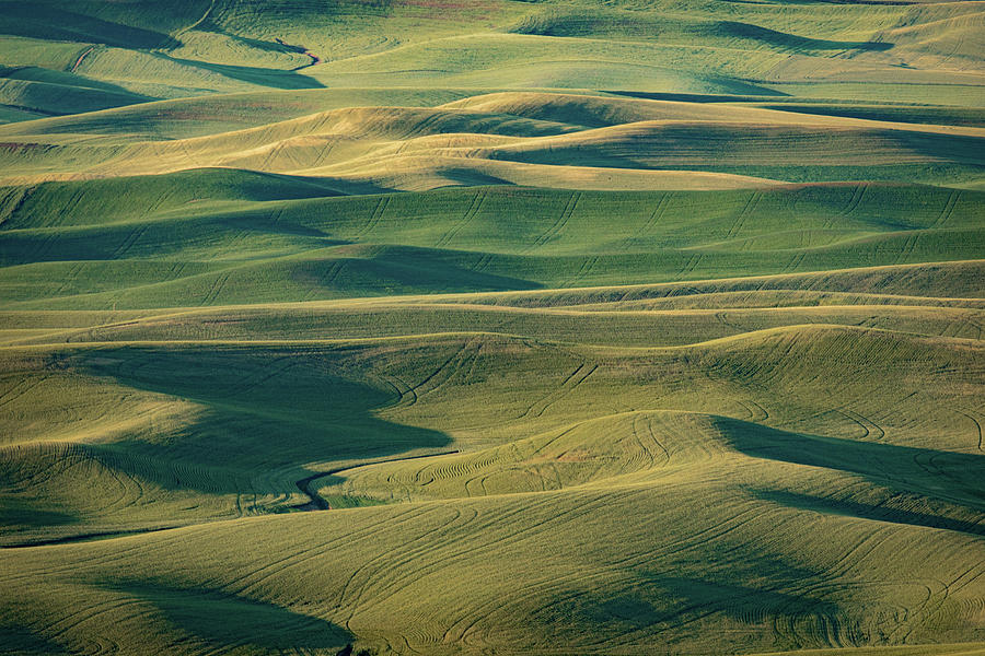 Washington State, Steptoe Butte south/southeast Photograph by Marvin Mast