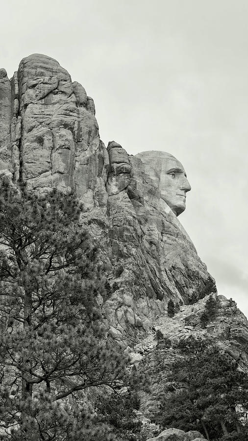 Washingtons Profile Mt Rushmore CAC  11322 Photograph by Cathy Anderson