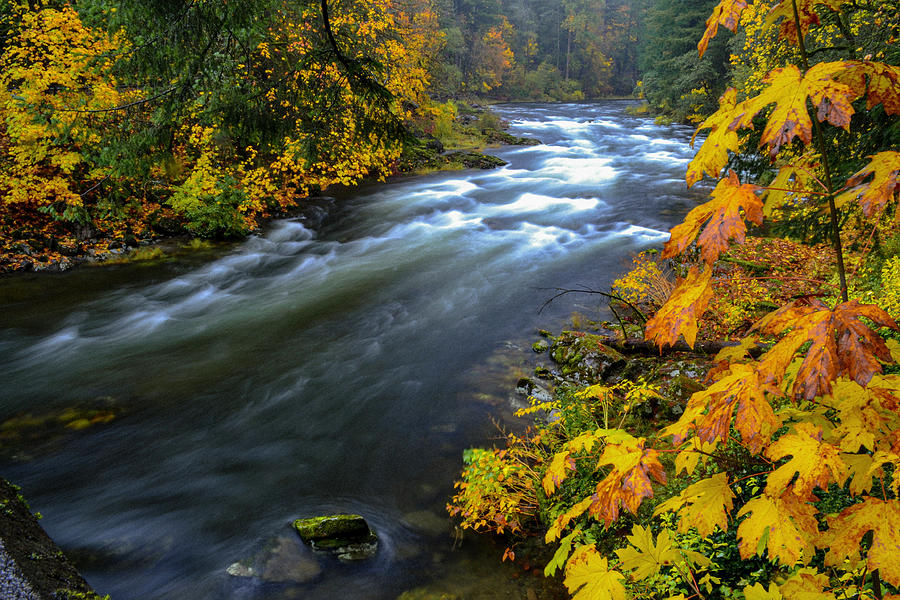 Washougal River fall Photograph by Randy Morrison