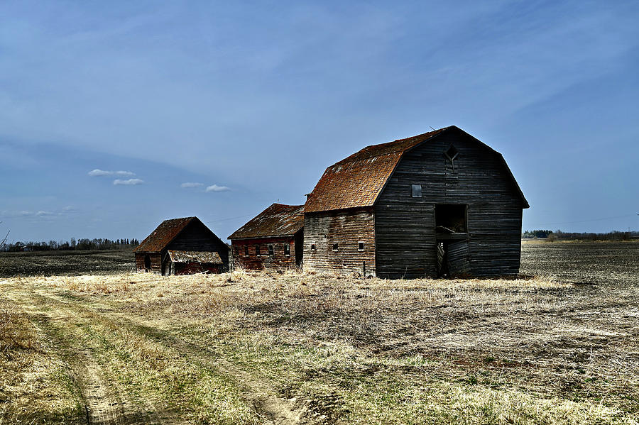 Waskatenau Barns Photograph