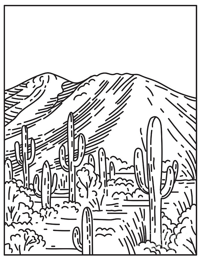 Wasson Peak At Tucson Mountain District In Saguaro National Park Located In Arizona United States Mono Line Or Monoline Black And White Line Art Digital Art