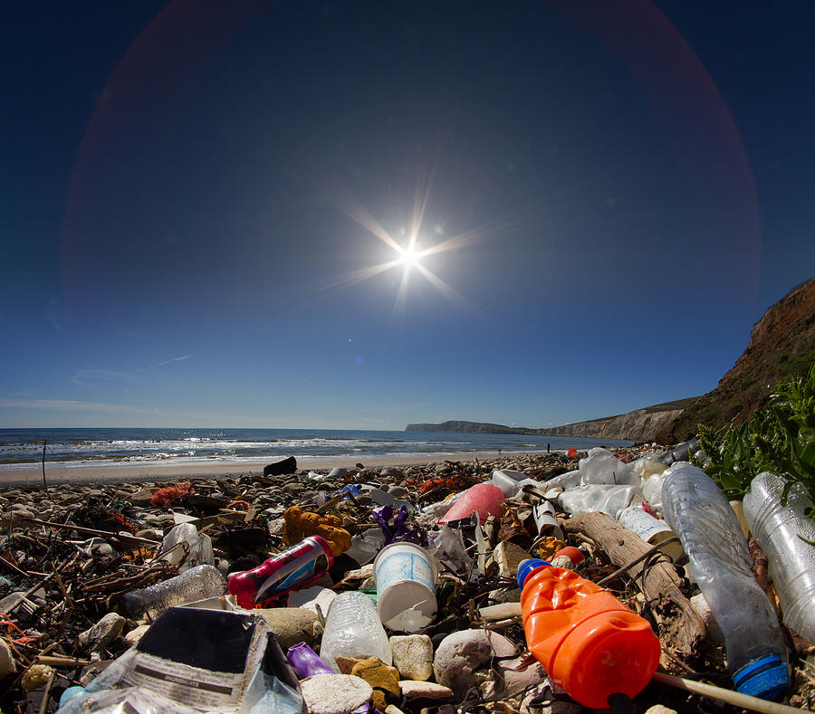 Waste on beach Photograph by s0ulsurfing - Jason Swain