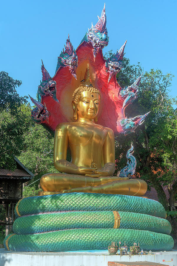 Wat Burapa Buddha Image on Naga Throne DTHU1397 Photograph by Gerry Gantt