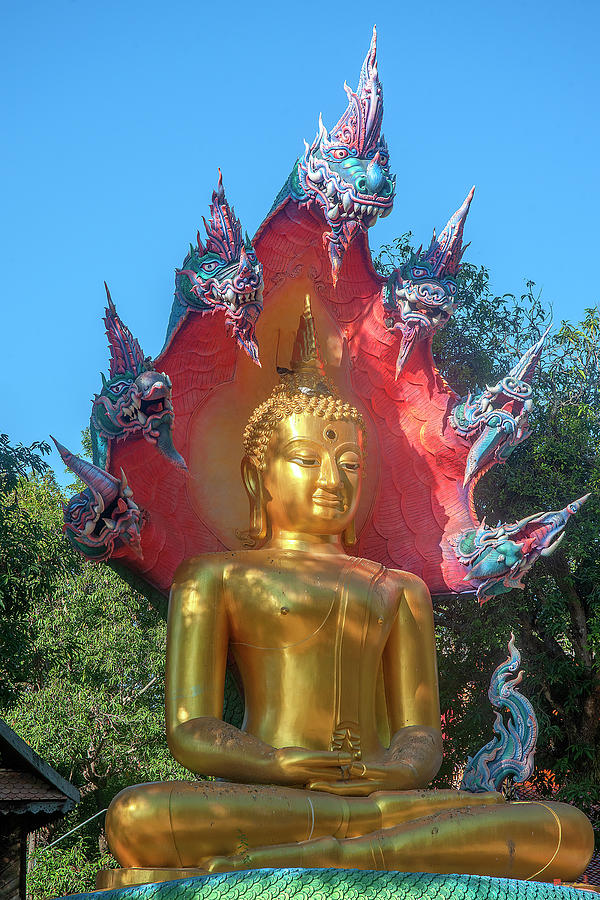 Wat Burapa Buddha Image on Naga Throne DTHU1398 Photograph by Gerry Gantt