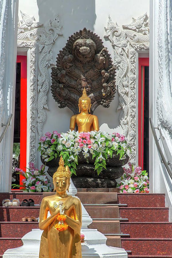 Wat Nak Prok Phra Ubosot Entrance Buddha Images DTHB2477 Photograph by Gerry Gantt
