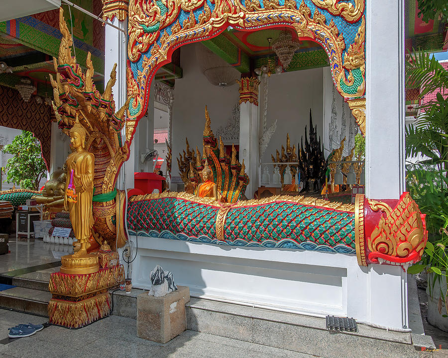Wat Nak Prok Phra Wihan Buddha Image and Naga Guardian DTHB2492 Photograph by Gerry Gantt