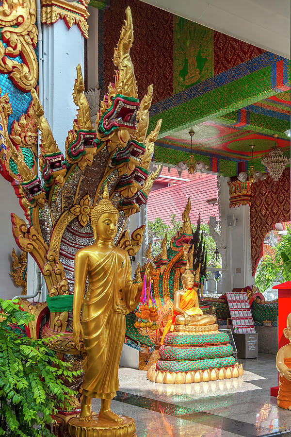 Wat Nak Prok Phra Wihan Buddha Images and Naga Guaridan DTHB2493 Photograph by Gerry Gantt
