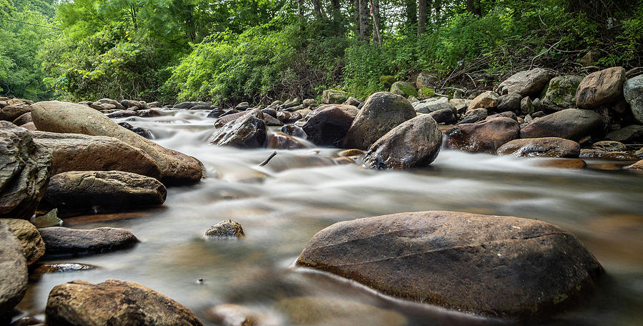 Watauga River, NC Photograph by David Hart