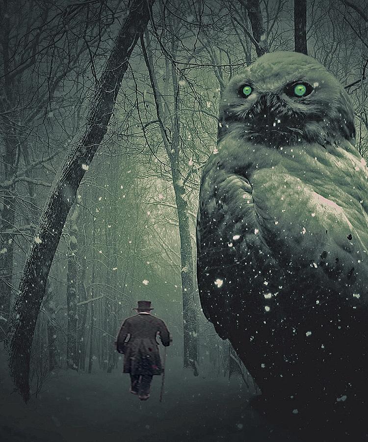 Owl Digital Art - Watcher in the Woods by Julie Grace