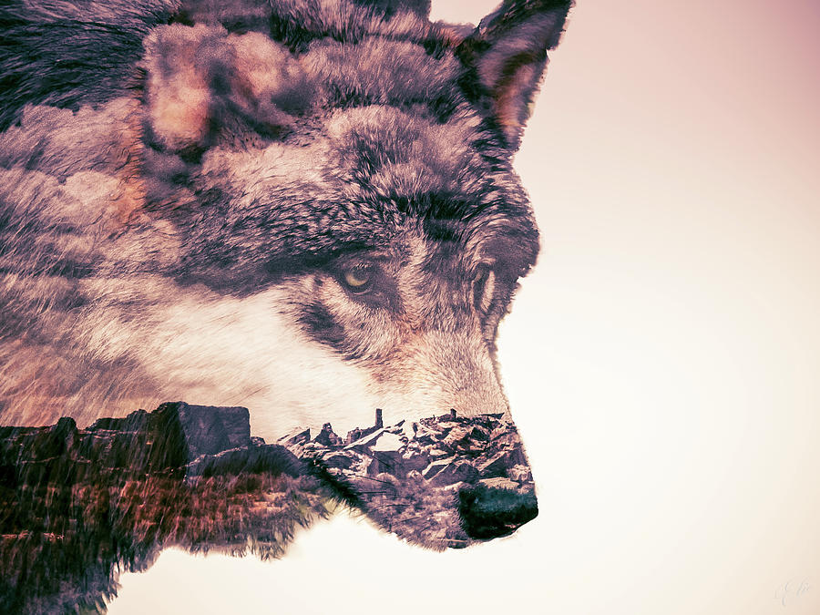 WATCHER OF THE WILDS by Elie Wolf WATCHER OF THE WILDS by Elie Wolf