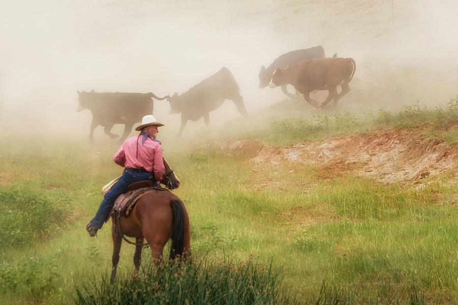 Watchful Cowboy Photograph by Sam Sherman