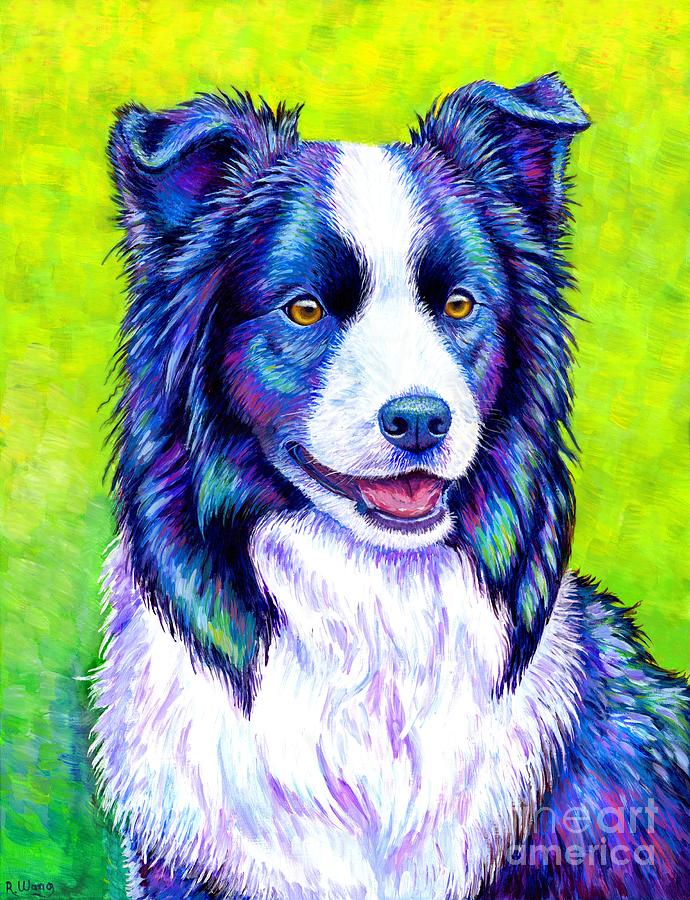 Watchful Eye - Colorful Border Collie Dog Painting by Rebecca Wang