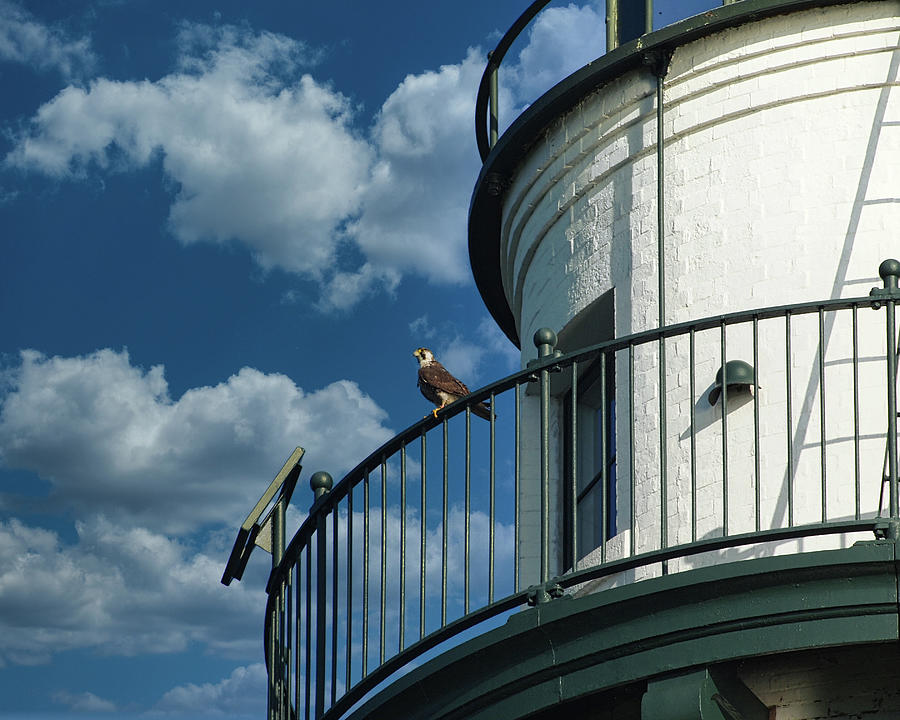 Watchful Eye Wind Point Lighthouse Photograph by Scott Olsen