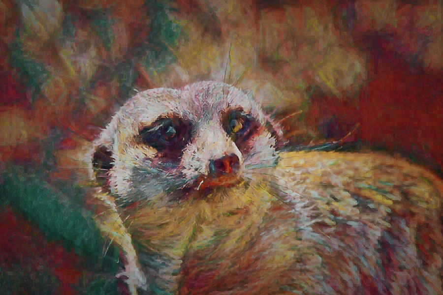 Meerkat Digital Art - Watchful Meerkat by Ernest Echols
