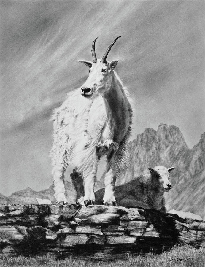 Glacier National Park Drawing - Watchful Mom by Bill Finewood