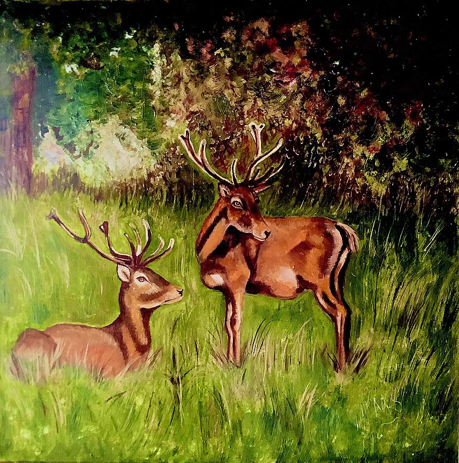 Watchful Red Deer Painting