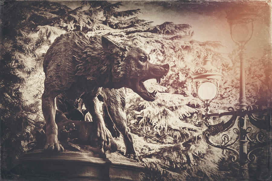Wolves Photograph - Watchful Wolf Park Grand Rond Toulouse France Vintage  by Carol Japp