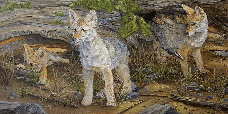 Watching For Mom - Coyote Pups Painting by Johanna Lerwick